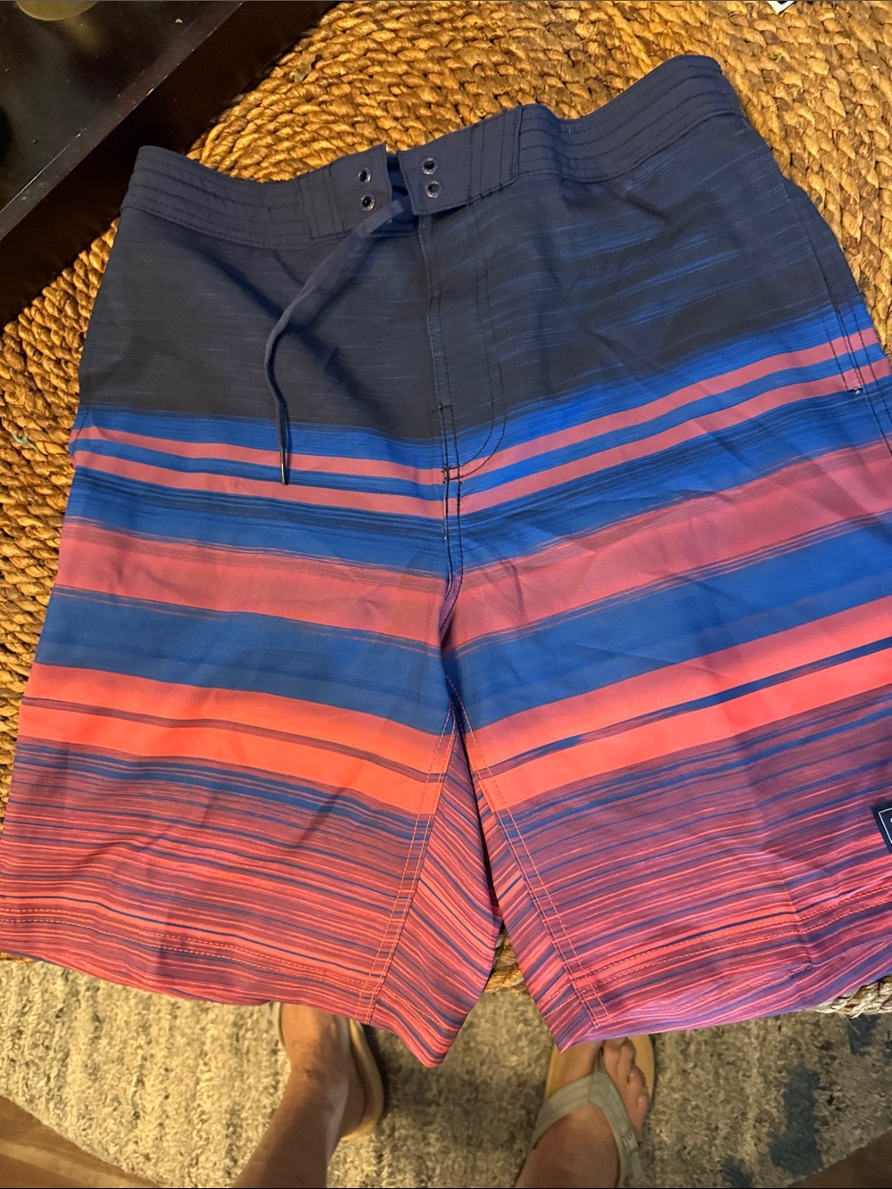 Speedo Men's Navy, Blue & Coral Striped Board Shorts